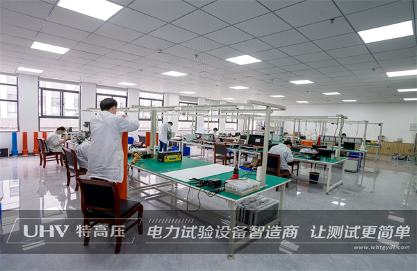 有朋自遠(yuǎn)方來！新疆老客戶不遠(yuǎn)千里來訪武漢特高壓(圖6)