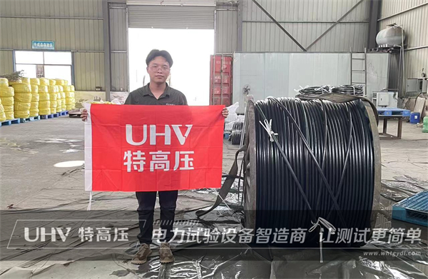 直擊售后現(xiàn)場(chǎng)！武漢特高壓售后團(tuán)隊(duì)為河南客戶提供技術(shù)支持(圖1)